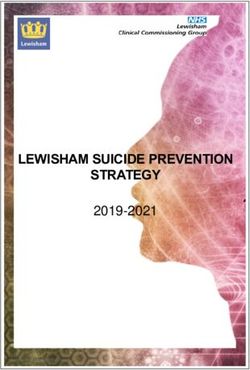 LEWISHAM SUICIDE PREVENTION STRATEGY 2019-2021