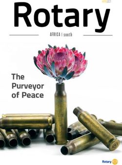 The Purveyor of Peace - AFRICA | south - Rotary District 9400