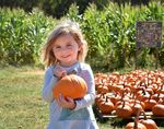 Fall Family Fun Weekends - Seven Weekend of Fun Saturdays & Sundays Sept 18-Oct 31, 10am-5pm - Terhune Orchards