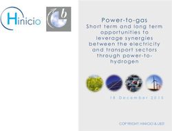 Short term and long term opportunities to leverage synergies between the electricity and transport sectors through power-to- Hinicio