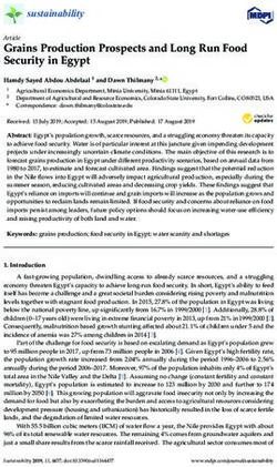 Grains Production Prospects and Long Run Food Security in Egypt - MDPI