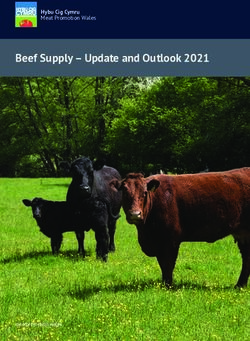 Beef Supply - Update and Outlook 2021 - Hybu Cig Cymru Meat Promotion Wales