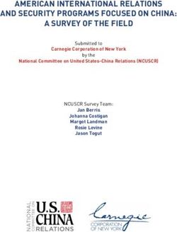 AMERICAN INTERNATIONAL RELATIONS AND SECURITY PROGRAMS FOCUSED ON CHINA: A SURVEY OF THE FIELD