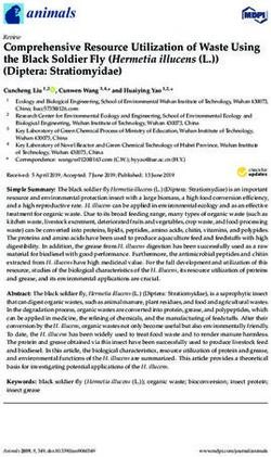 Comprehensive Resource Utilization of Waste Using the Black Soldier Fly (Hermetia illucens (L (Diptera: Stratiomyidae)