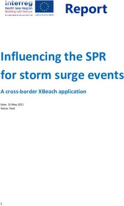 Influencing the SPR for storm surge events - Report - A cross-border XBeach application