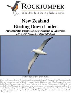 New Zealand Birding Down Under - Subantarctic Islands of New Zealand & Australia - Rockjumper Birding