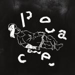 Peace Agreements and Persons with Disabilities - the Political ...