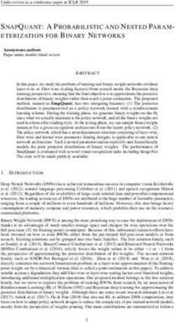 SNAPQUANT: A PROBABILISTIC AND NESTED PARAM-ETERIZATION FOR BINARY NETWORKS