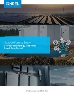 Storage Futures Study - Storage Technology Modeling Input Data Report - Chad Augustine and Nate Blair - NREL