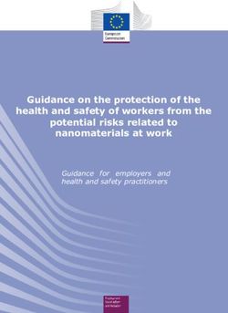 Guidance on the protection of the health and safety of workers from the potential risks related to nanomaterials at work - Guidance for employers ...