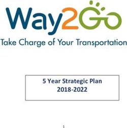5 Year Strategic Plan 2018-2022 - Amazon S3