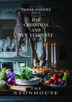 FOR CHRISTMAS AND NEW YEAR'S EVE - The Stonhouse