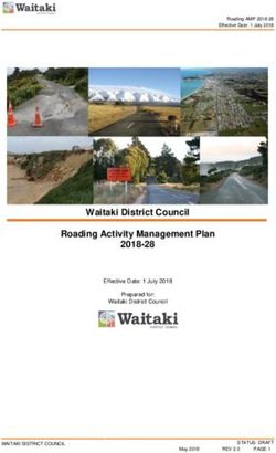 Waitaki District Council Roading Activity Management Plan 2018-28