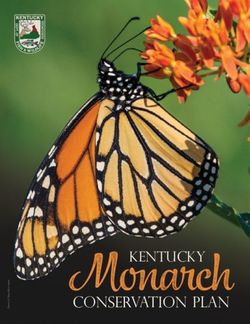 Kentucky Monarch Conservation Plan - Kentucky Fish and Wildlife