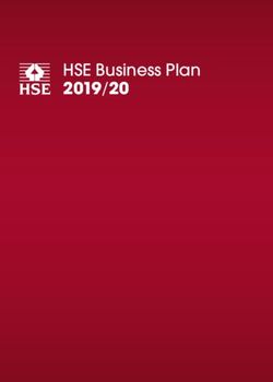 HSE Business Plan 2019/20