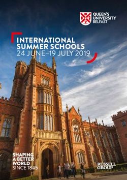 INTERNATIONAL SUMMER SCHOOLS 24 JUNE-19 JULY 2019 - CSI