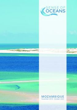 MOZAMBIQUE November 2019 - October 2020 - Sense of Oceans