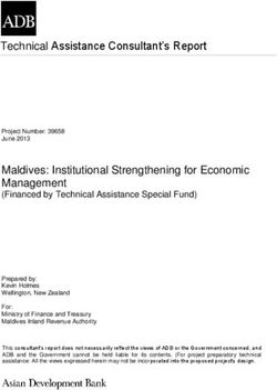 Technical Assistance Consultant's Report