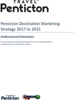 Penticton Destination Marketing Strategy 2017 to 2021 - Undiscovered Penticton