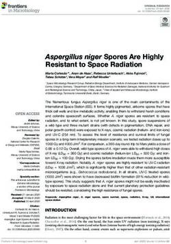 Aspergillus niger Spores Are Highly Resistant to Space Radiation - DLR