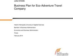 Business Plan for Eco-Adventure Travel Company - Julia Erkkilä - Semantic ...