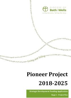 Pioneer Project 2018-2025 - Strategic Development Funding Application Stage 2 - Project Plan - Diocese of Bath and Wells