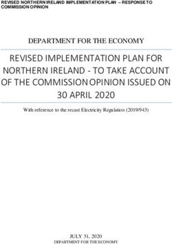 REVISED IMPLEMENTATION PLAN FOR NORTHERN IRELAND - TO TAKE ACCOUNT OF THE COMMISSION OPINION ISSUED ON 30 APRIL 2020