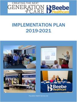 IMPLEMENTATION PLAN 2019-2021 - Beebe Healthcare