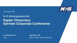 Kepler Cheuvreux German Corporate Conference - K+S Aktiengesellschaft 18 January 2021 - K+S ...