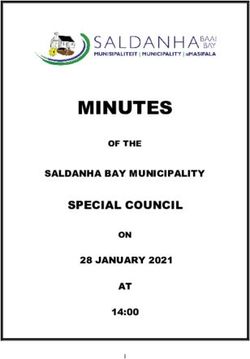 MINUTES SPECIAL COUNCIL - SALDANHA BAY MUNICIPALITY 28 JANUARY 2021 AT