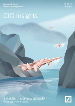 CIO Insights - Establishing a new altitude Investing beyond the peaks - Q2 2019 Europe - Deutsche Bank Wealth Management