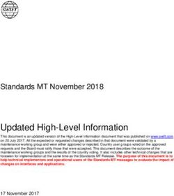 Updated High-Level Information - Standards MT November 2018 - Swift