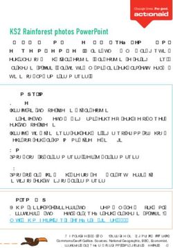 KS2 Rainforest photos PowerPoint - Keston Primary School