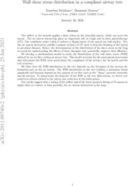 Wall shear stress distribution in a compliant airway tree - arXiv.org