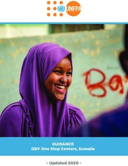 GUIDANCE GBV One Stop Centers, Somalia - Updated 2020