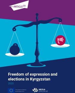 Freedom of expression and elections in Kyrgyzstan 2020 - Article 19