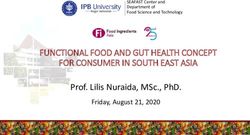 PROF. LILIS NURAIDA, MSC., PHD - FUNCTIONAL FOOD AND GUT HEALTH CONCEPT FOR CONSUMER IN SOUTH EAST ASIA - FI GLOBAL