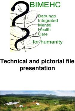 Technical and pictorial file presentation - q-fin.de
