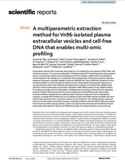 A multiparametric extraction method for Vn96 isolated plasma extracellular vesicles and cell free DNA that enables multi omic profiling