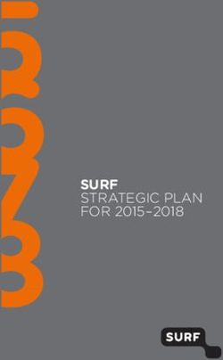 SURF STRATEGIC PLAN FOR 2015-2018