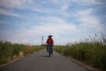 CHESAPEAKE BAY - Promoting Clean Water for Healthier Habitats - The Nature Conservancy