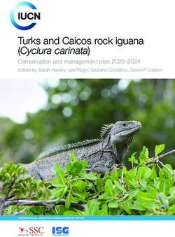 Turks and Caicos rock iguana (Cyclura carinata) - Conservation and management plan 2020-2024 Edited by Sarah Havery, Lee Pagni, Giuliano Colosimo ...