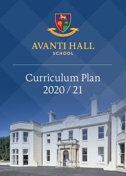 Curriculum Plan 2020 / 21 - PROSPECTUS - Avanti Schools Trust