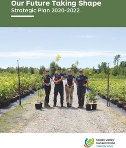 Our Future Taking Shape - Strategic Plan 2020-2022