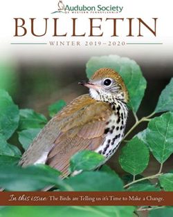 BULLETIN - In this issue: The Birds are Telling us it's Time to Make a Change - WINTER 2019 2020