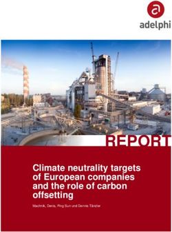 REPORT Climate neutrality targets of European companies and the role of carbon offsetting - Carbon Mechanisms