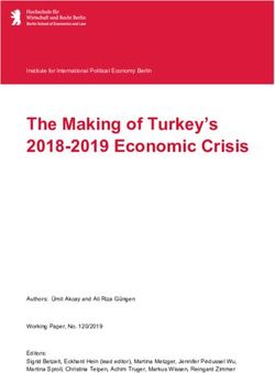 The Making of Turkey's 2018-2019 Economic Crisis - IPE Berlin