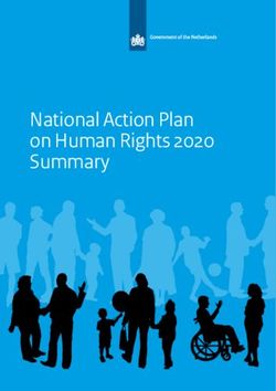 National Action Plan on Human Rights 2020 Summary