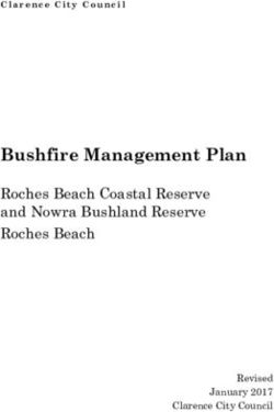 Bushfire Management Plan - Roches Beach Coastal Reserve and Nowra Bushland Reserve Roches Beach - Clarence City Council