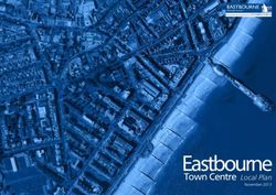 Eastbourne Town Centre - Local Plan - Lewes District Council